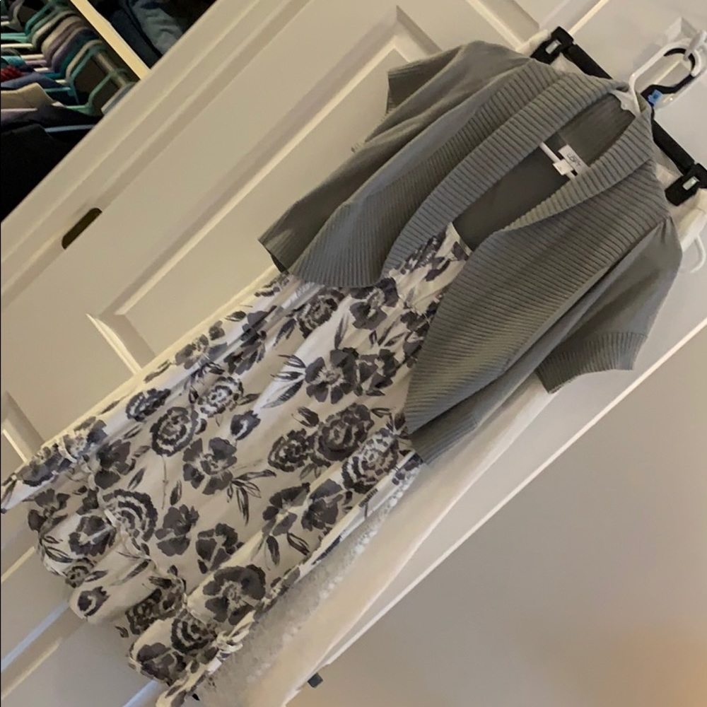 Loft dress and sweater